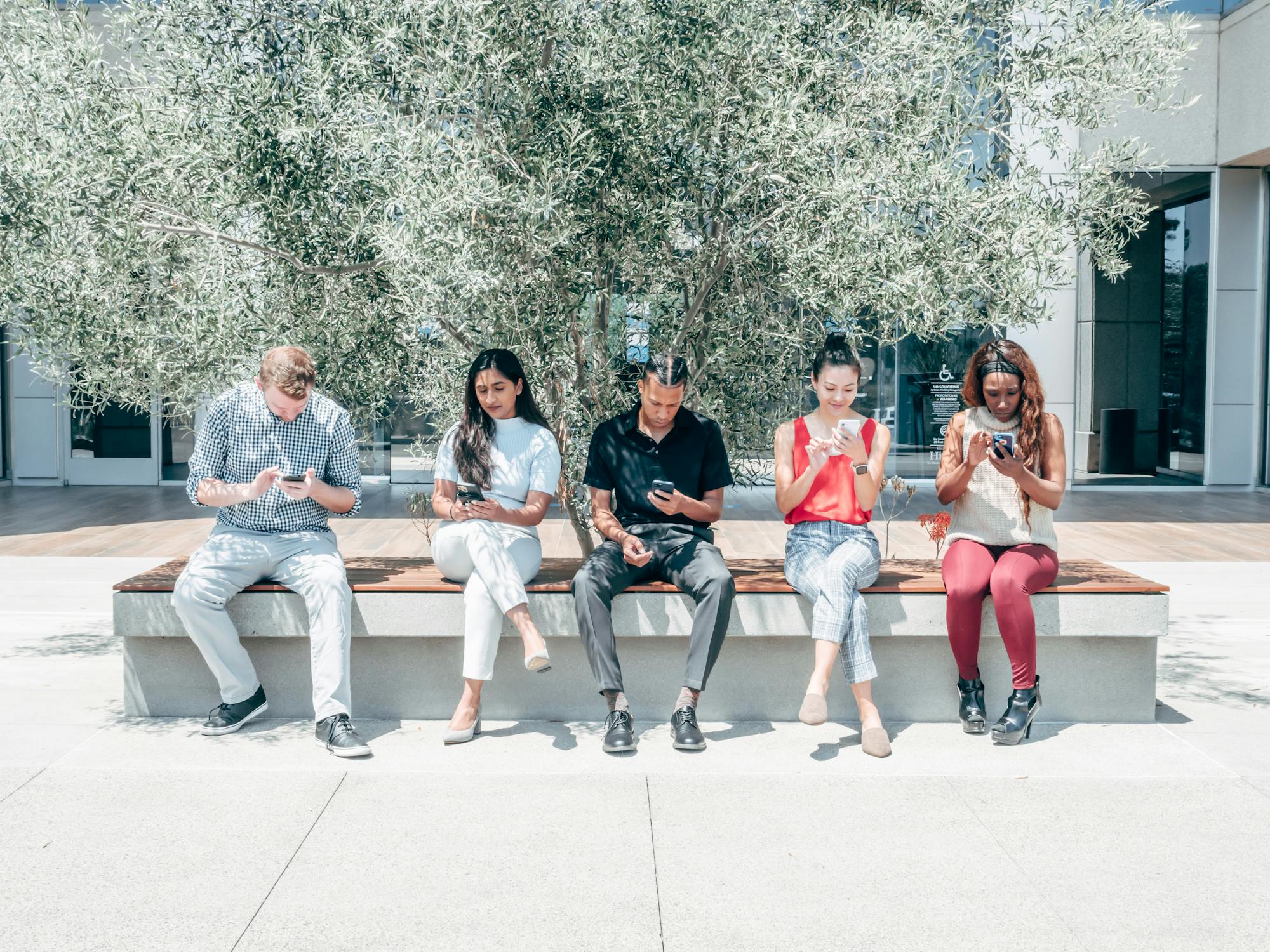 People Using Their Smartphones while Sitting on a Bench